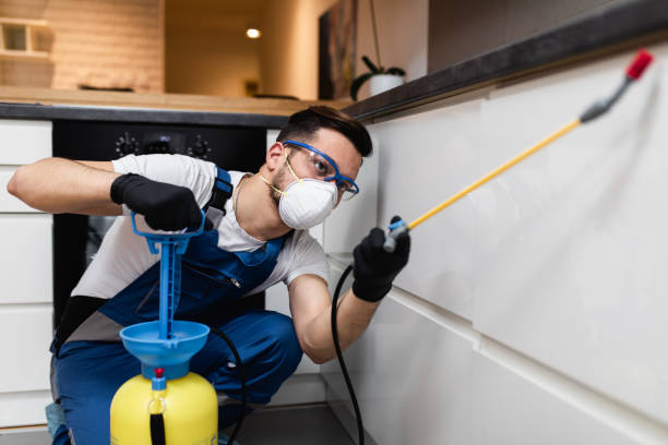 Best Pest Inspection Near Me  in Canby, OR