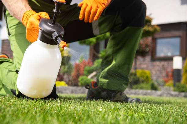 Best Affordable Pest Control Services  in Canby, OR