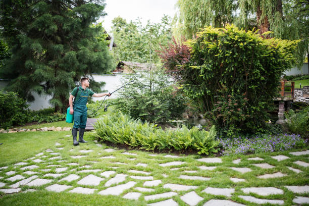 Best Cockroach Control Services  in Canby, OR