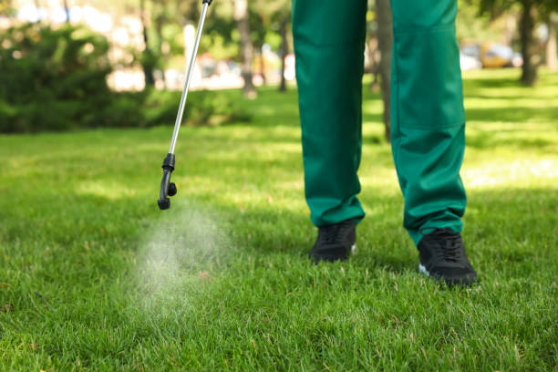 Best Pest Control Treatment  in Canby, OR