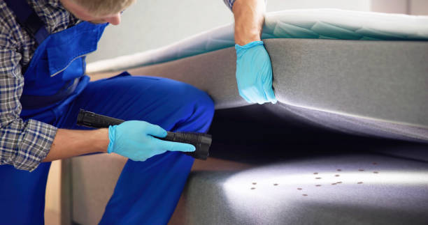 Best Best Pest Control Companies  in Canby, OR