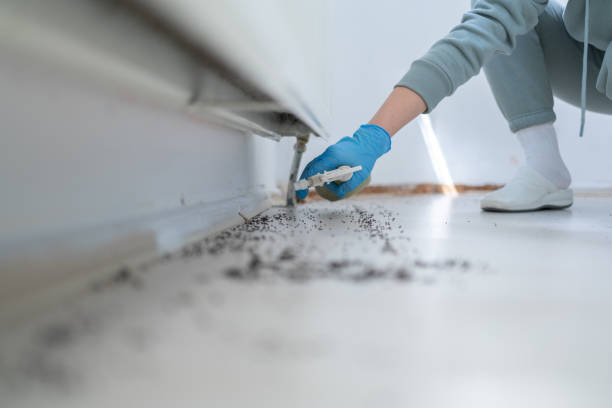 Pest Prevention Services in Canby, OR