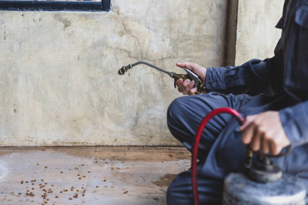Best Best Pest Control Companies  in Canby, OR