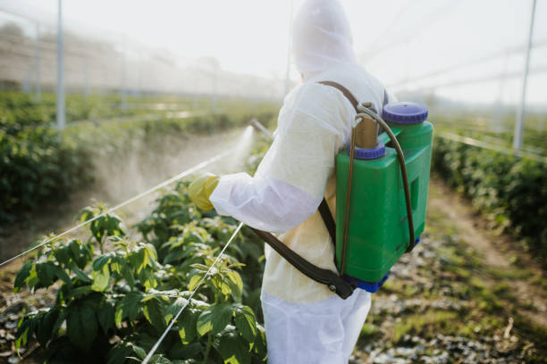 Trusted Canby, OR Pest Control Experts